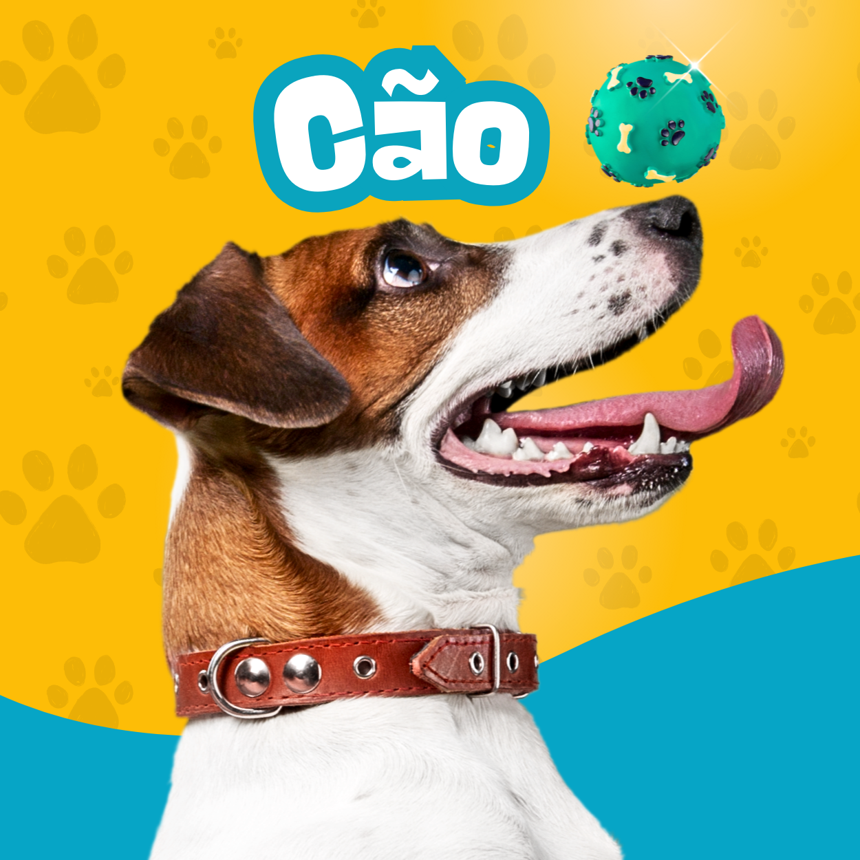 Cães
