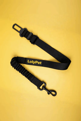 Cinto_LolyPet Fundo amarelo