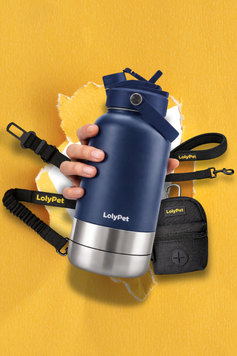 Lolypet_Travel_Pack_Cor_Azul