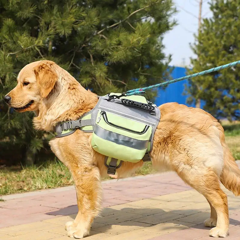 Mochila Grande para Cães para Uso Externo